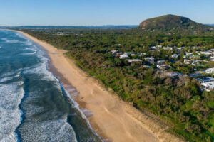 Blog 1100x733 tree change 2024