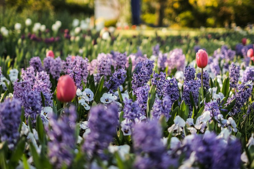Blog 1100x733 Spring 2024